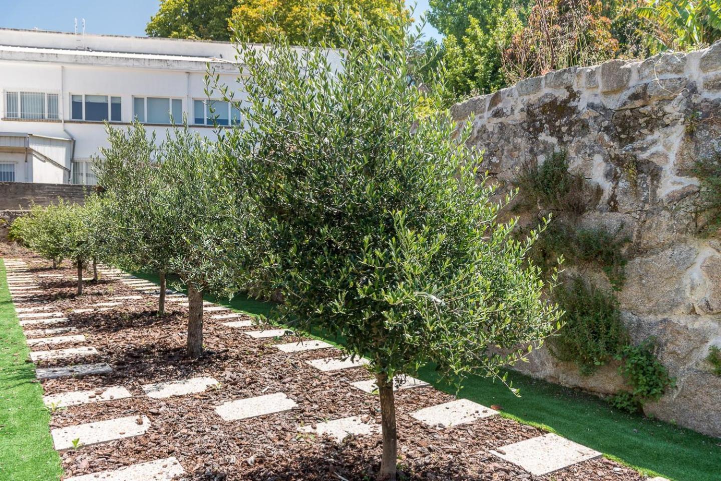 Guestready - Jardim Das Oliveiras Guesthouse - 2 OOporto Exteriör bild